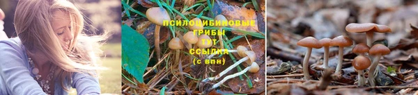 jwh Заволжье