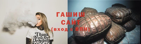стаф Зерноград