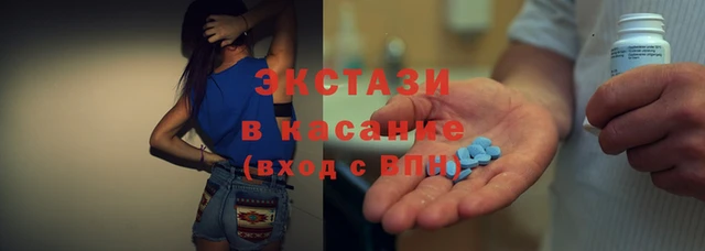 стаф Зерноград