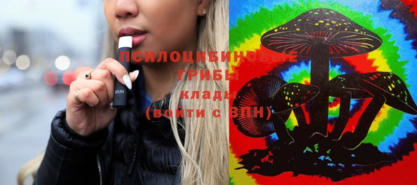 тгк Зеленокумск